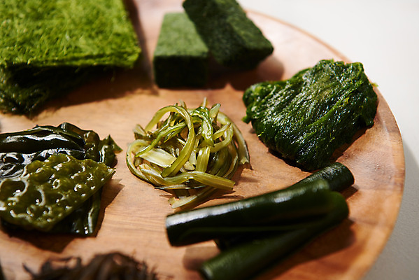 포토 JPG 스튜디오촬영 식재료 실내 누끼 근접촬영 사람없음 해조류 해초 김 오브젝트 미역 곰피 톳 감태 미역줄기 국내포토 뷰포인트 내부 해양식물 파일형식