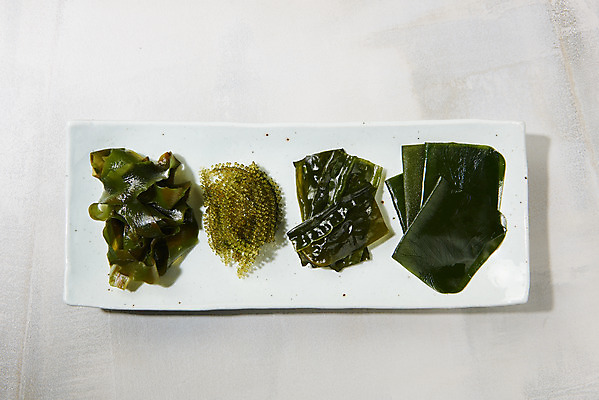 포토 JPG 스튜디오촬영 그릇 식재료 실내 누끼 사람없음 하이앵글 해조류 해초 오브젝트 미역 곰피 다시마 플랫레이 국내포토 식기 뷰포인트 내부 해양식물 플랫 파일형식