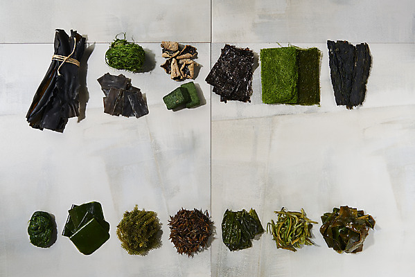 포토 JPG 스튜디오촬영 식재료 실내 누끼 사람없음 하이앵글 해조류 해초 김 오브젝트 미역 건미역 곰피 다시마 매생이 바다포도 톳 파래 플랫레이 부각 김부각 감태 미역줄기 국내포토 뷰포인트 반찬 내부 해양식물 플랫 파일형식