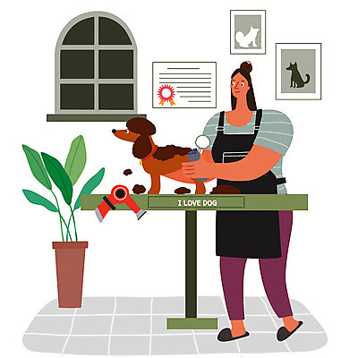 직업 우먼라이프 여자 일러스트 한명 사람 성인 반려동물 구직 강아지 드라이어 즐거움 열정 반려 애견미용사 애견샵 자격증 싱글라이프 성인여자한명만 국내일러스트 AI파일 동물 1 라이프스타일 감정 컨셉 미용용품 개 미용사 증명서 여자한명만 성인여자만 파일형식 벡터
