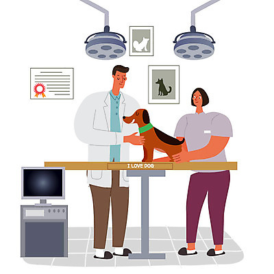 직업 한마리 라이프스타일 여자 남자 일러스트 사람 두명 치료 모니터 간호사 구직 의사가운 강아지 즐거움 열정 동물병원 수의사 반려 자격증 성인만 국내일러스트 AI파일 1 감정 컨셉 의학 병원 생활 반려동물 컴퓨터 의료진 의사 가운 개 증명서 파일형식 벡터