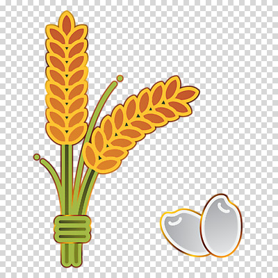 편집이미지 누끼 사람없음 귀여움 농사 벼 쌀 PNG 농수산물 편집소스 컨셉 농업 곡류 파일형식