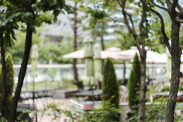 포토 JPG 주간 나무 백그라운드 풍경 사람없음 야외 아웃포커스 도시풍경 파라솔 판교 편집소스 국내포토 자연요소 식물 촬영기법 도시 분당 파일형식