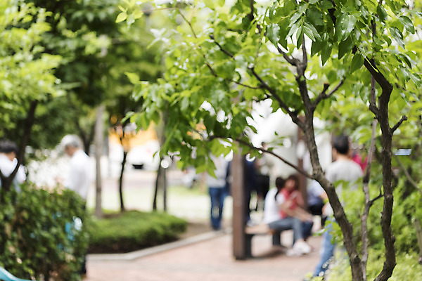 포토 JPG 주간 나무 백그라운드 풍경 여러명 야외 아웃포커스 도시풍경 흡연구역 흡연자 판교 편집소스 국내포토 자연요소 식물 다수 흡연 촬영기법 사람 도시 구역 분당 파일형식