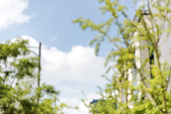 포토 JPG 주간 나무 공원 백그라운드 하늘 나뭇잎 풍경 사람없음 야외 아웃포커스 판교 편집소스 국내포토 자연요소 식물 공공시설 잎 촬영기법 분당 파일형식