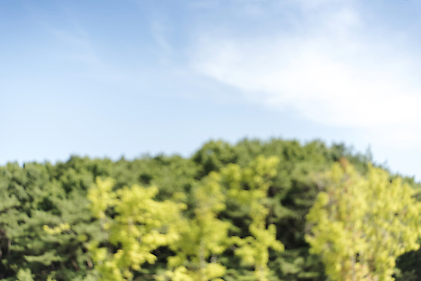 포토 JPG 주간 구름 백그라운드 자연 하늘 풍경 사람없음 야외 아웃포커스 편집소스 국내포토 여주시 자연요소 촬영기법 생태계 경기도 파일형식