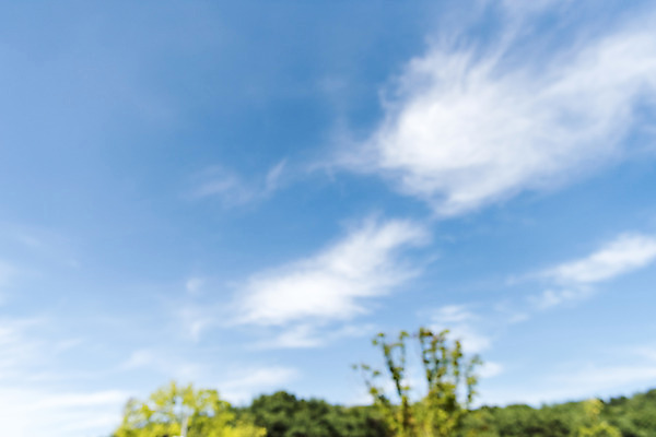 포토 JPG 주간 나무 구름 백그라운드 자연 하늘 풍경 사람없음 야외 아웃포커스 편집소스 국내포토 여주시 자연요소 식물 촬영기법 생태계 경기도 파일형식