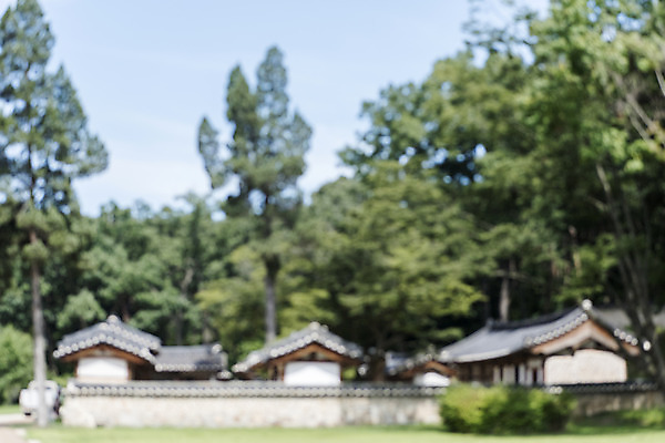 포토 JPG 주간 나무 한국전통 여행 백그라운드 유적지 자연 하늘 풍경 사람없음 야외 아웃포커스 여름 관광지 세계문화유산 문화재 역사 한국사 조선시대 영녕릉 재실 조선왕릉 편집소스 효종릉 효종영릉재실 국내포토 여주시 자연요소 식물 전통 계절 고건축 한국 촬영기법 생태계 경기도 여주 왕릉 파일형식 여주_지역
