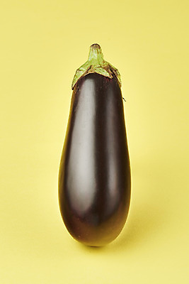 포토 JPG 스튜디오촬영 채소 가지 실내 누끼 사람없음 여름 한개 신선 유기농 부드러움 노란배경 편식 국내포토 1 웰빙 계절 백그라운드 내부 노란색 감각 식생활 파일형식