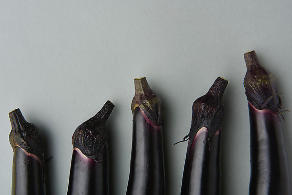 포토 JPG 스튜디오촬영 채소 회색배경 가지 실내 누끼 사람없음 여름 하이앵글 여러개 신선 유기농 부드러움 편식 플랫레이 국내포토 웰빙 계절 뷰포인트 다수 백그라운드 내부 회색 감각 플랫 식생활 파일형식