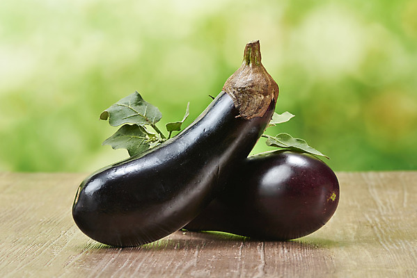 포토 JPG 스튜디오촬영 잎 채소 가지 실내 사람없음 여름 두개 신선 유기농 부드러움 편식 국내포토 식물 웰빙 계절 2 내부 감각 식생활 파일형식