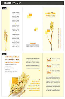 도형 템플릿 표지디자인 표지 ZIP 내지 리플렛 3단접지 팜플렛 사람없음 노란색 추수 이삭 노란배경 조 인디자인 INDD 이미지템플릿 컬러 백그라운드 농업 곡류 파일형식