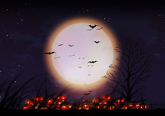 PSD 나무 식물 별 일러스트 사람없음 울타리 할로윈 보름달 달 가을 야간 무서움 박쥐 원형프레임 잭오랜턴 프레임일러스트 가을축제 국내일러스트 자연요소 계절 감정 포유류 프레임 담장 축제 원형 파일형식 가을_계절