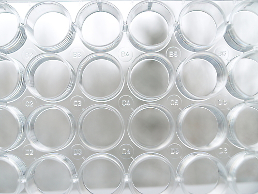 포토 JPG 해외이미지 동물 문화 줄기 과학 백그라운드 컨셉 아이디어 세포 사람 사람없음 가로 숫자 약 장비 돼지 이름 실험실 바이러스 DNA 생명공학 생물학 유전 항생제 해외포토 식물 문자 교육 포유류 의학 실험 파일형식 이미지허브