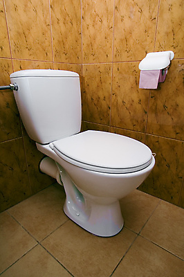 포토 JPG 해외이미지 종이 가정 사람없음 내부 욕실 흰색 장롱 조직 위생 화장실 변기 변기통 위생관리 해외포토 컬러 가구 관리 파일형식 이미지허브