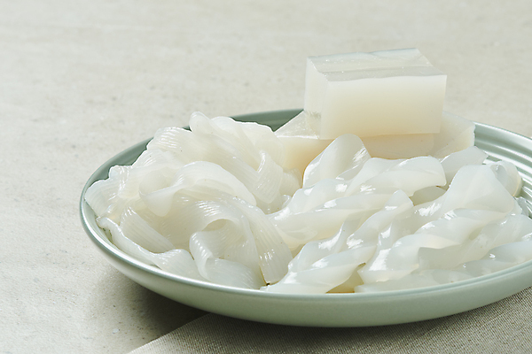 포토 JPG 스튜디오촬영 접시 다이어트 식재료 회색배경 실내 사람없음 담기 채식 건강식 곤약 저칼로리 파스타면 베지푸드 비건 곤약면 비건음식 국내포토 식기 음식 백그라운드 모션 파스타 건강 내부 회색 면류 채식주의자 파일형식