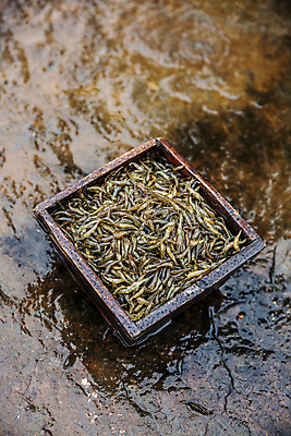 포토 JPG 주간 식재료 바닥 사람없음 야외 전라남도 담기 특산물 되 젓갈 강진 토하 국내포토 자연요소 음식 모션 새우 전라도 파일형식