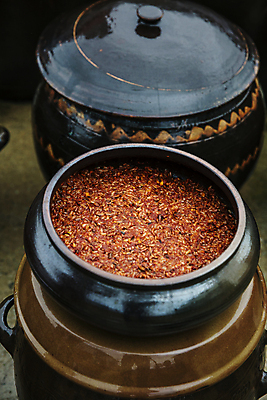 포토 JPG 주간 사람없음 야외 항아리 전라남도 담기 특산물 젓갈 강진 토하 국내포토 자연요소 음식 모션 새우 도자기 전라도 파일형식