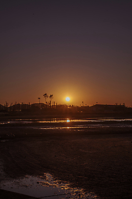 포토 JPG 하늘 사람없음 야외 태양 가을풍경 일몰 가을 경기도 시흥 갯골생태공원 국내포토 자연요소 계절 한국 풍경 노을 파일형식 가을_계절