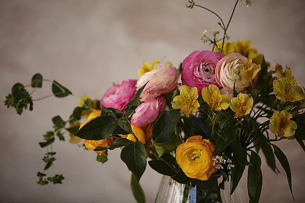 포토 JPG 꽃다발 잎 서울 실내 사람없음 꽃병 라넌큘러스 갈색배경 국내포토 식물 꽃 백그라운드 한국 내부 갈색 파일형식