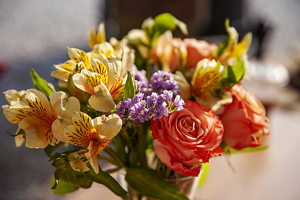 포토 JPG 꽃 꽃다발 잎 실내 사람없음 아웃포커스 장미 알스트로에메리아 일산 국내포토 식물 촬영기법 내부 경기도 파일형식