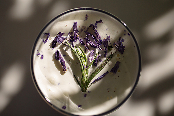 포토 JPG 꽃 음료 실내 그림자 사람없음 아웃포커스 장식 하이앵글 부산 라벤더 밀크티 허브차 국내포토 식물 뷰포인트 한국 촬영기법 내부 차_음료 허브 파일형식