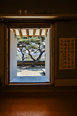 포토 JPG 주간 한옥 실내 풍경 사람없음 한자 소나무 경상북도 창호문 안동 전통창문 지붕처마 기와담장 국내포토 자연요소 나무 문자 한국전통 전통 고건축 창문 지붕 기와 내부 담장 문 경상도 처마 파일형식