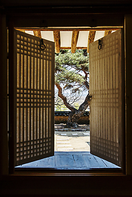 포토 JPG 주간 한옥 실내 풍경 사람없음 소나무 경상북도 창호문 안동 지붕처마 국내포토 자연요소 나무 한국전통 고건축 지붕 내부 문 경상도 처마 파일형식