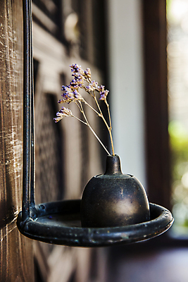 포토 JPG 주간 전통 꽃 사람없음 아웃포커스 경주 경상북도 등잔 등잔대 호롱등 호롱등잔대 국내포토 자연요소 식물 조명 촬영기법 경상도 파일형식