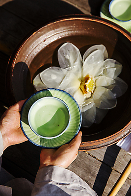 포토 JPG 손 실내 연꽃 들기 신체부위 전통차 찻잔 다도 전라남도 컵받침 연꽃차 장성 국내포토 꽃 모션 잔 사람 내부 차_음료 예절 전라도 받침대 꽃차 파일형식