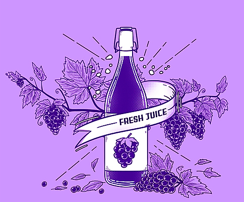 PSD 리본 일러스트 포도 유리병 나뭇잎 타이포그라피 사람없음 보라색 나뭇가지 포도송이 포도나무 포도알 포도주스 음료수병 포도잎 국내일러스트 나무 문자 컬러 잎 과일 병_용기 과일주스 과일나무 병_담는 파일형식