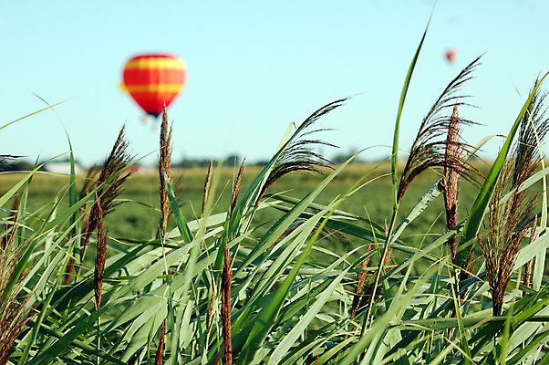 포토 JPG 해외이미지 스포츠 하늘 사람없음 야외 빨간색 초록색 파란색 노란색 바구니 줄무늬 활발 뜨거움 풍선 해외포토 컬러 컨셉 무늬 파일형식 이미지허브