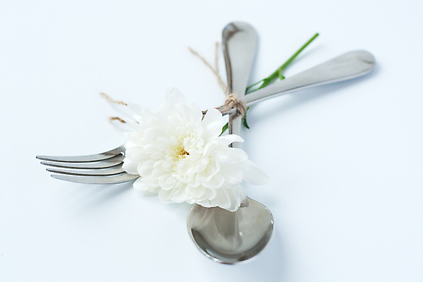 포토 JPG 해외이미지 꽃 백그라운드 포크 넥타이 사람없음 숟가락 흰색 거친 실 거짓말 해외포토 식물 식기 잡화 컬러 수저 파일형식 이미지허브