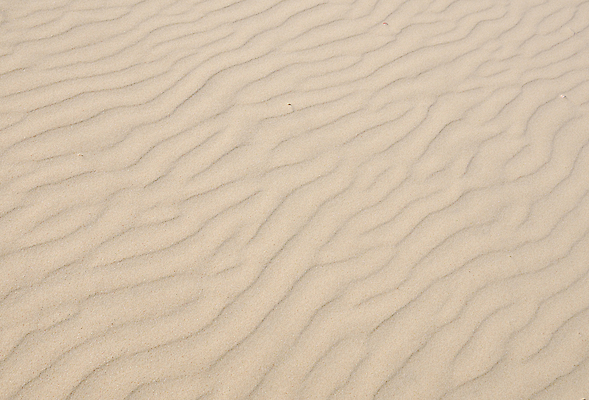 포토 JPG 해외이미지 물결 모래 파도 백그라운드 패턴 자연 표면 바람 추상 해변 사람없음 야외 빛 모래사장 사막 낟알 모래언덕 질감 대각선 창백 잔물결 해외포토 자연요소 선 바다 무늬 날씨 언덕 생태계 파일형식 이미지허브