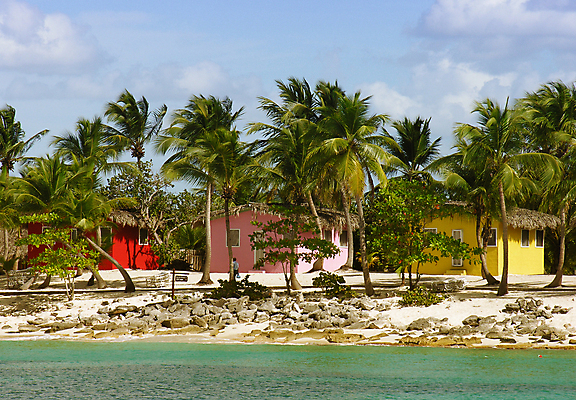 포토 JPG 해외이미지 나무 모래 벽 섬 잎 건축양식 창문 하늘 부동산 주택 사람없음 야외 건물 빨간색 파란색 컬러풀 야자수 장미 도미니카공화국 해외포토 식물 건축물 건축 꽃 컬러 남아메리카 재산 파일형식 이미지허브