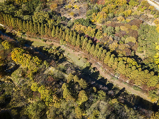 포토 JPG 주간 나무 사람없음 야외 하이앵글 가을풍경 가을 분위기 숲 경기도 항공촬영 시흥 전경 국내포토 자연요소 식물 계절 뷰포인트 컨셉 한국 풍경 파일형식 탑뷰 가을_계절