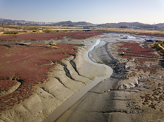 포토 JPG 주간 하늘 산 사람없음 야외 관광지 하이앵글 가을풍경 가을 분위기 습지 경기도 갯벌 항공촬영 생태공원 시흥 전경 국내포토 자연요소 계절 공원 뷰포인트 여행 컨셉 한국 풍경 파일형식 탑뷰 가을_계절