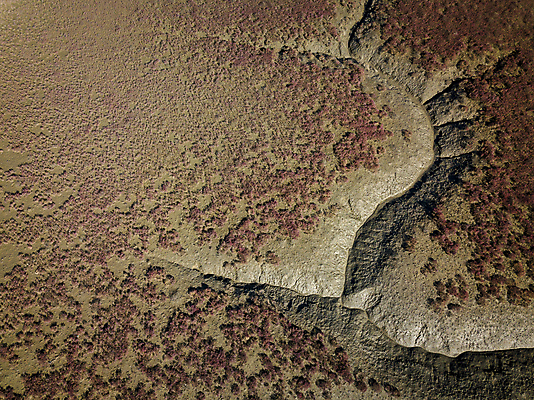 포토 JPG 주간 사람없음 야외 관광지 하이앵글 가을풍경 가을 분위기 습지 경기도 갯벌 항공촬영 생태공원 시흥 전경 국내포토 자연요소 계절 공원 뷰포인트 여행 컨셉 한국 풍경 파일형식 탑뷰 가을_계절