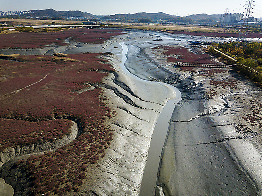 포토 JPG 주간 산 사람없음 야외 관광지 하이앵글 가을풍경 가을 분위기 습지 경기도 갯벌 항공촬영 생태공원 시흥 전경 국내포토 자연요소 계절 공원 뷰포인트 여행 컨셉 한국 풍경 파일형식 탑뷰 가을_계절