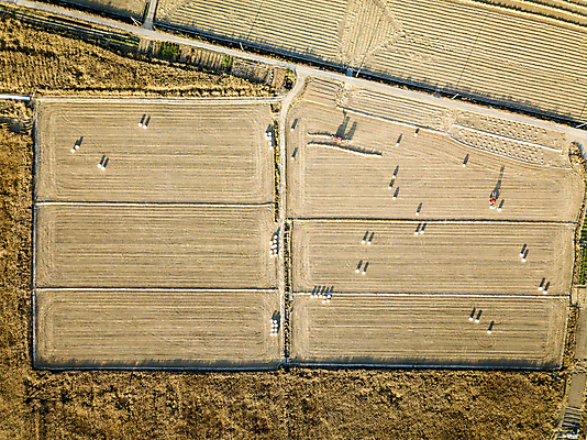 포토 JPG 주간 논 사람없음 야외 관광지 하이앵글 가을풍경 가을 농촌 분위기 경기도 항공촬영 시흥 전경 국내포토 자연요소 계절 뷰포인트 여행 컨셉 농업 한국 풍경 시골 파일형식 탑뷰 가을_계절
