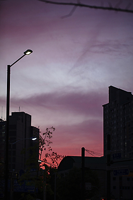 포토 JPG 구름 실루엣 가로등 하늘 사람없음 야외 도시풍경 일몰 야간 퇴근길 일산 국내포토 자연요소 공공시설 촬영기법 풍경 노을 도시 퇴근 경기도 파일형식