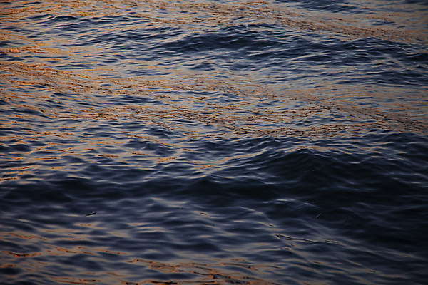 포토 JPG 물결 서울 풍경 사람없음 야외 일몰 야간 한강 여름밤 국내포토 자연요소 한국 여름 노을 랜드마크 파일형식