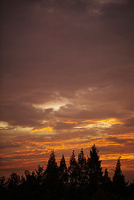 포토 JPG 구름 실루엣 하늘 풍경 사람없음 야외 노을 일몰 야간 숲 담양 여름밤 국내포토 자연요소 촬영기법 여름 전라남도 파일형식