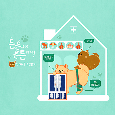 PSD 반려견 일러스트 엑스레이 건강 세마리 들기 타이포그라피 사람없음 치료 반려동물 질병 동물병원 개발자국 민트색 보조기 보조기구 염증 재활기구 포메라니안 동물보험 국내일러스트 동물 문자 컬러 의학 모션 병원 3 기구 의료용품 개 발자국 보험 파일형식