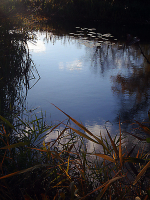 포토 JPG 해외이미지 자연 하늘 풍경 사람없음 목재 물 강 어둠 해외포토 자연요소 나무 재료 생태계 파일형식 이미지허브