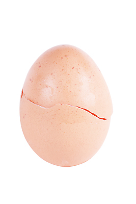 포토 JPG 해외이미지 모양 동물 디자인 음식 백그라운드 컨셉 자연 조류 새로움 사람없음 갈색 계란 놀람 공백 껍질 흰색 신선 오픈 원형 변화 아침식사 작음 사건 오브젝트 시작 싱글 날것 슛 노른자 격파 고립 골절 깨짐 엘리먼트 해외포토 도형 감정 컬러 의학 모션 표정 알 식사 크기 생태계 파일형식 이미지허브