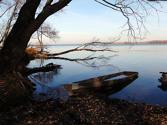 포토 JPG 해외이미지 나무 호수 자연 하늘 풍경 사람없음 물 반사 노란색 가을 보트 숲 해외포토 자연요소 식물 계절 컬러 배_교통 생태계 파일형식 이미지허브