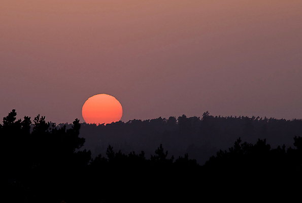포토 JPG 해외이미지 나무 실루엣 분홍색 오렌지 자연 하늘 잉글랜드 사람없음 태양 황혼 일몰 봄 원형 저녁 숲 4월 설정 여의주 서식스 해외포토 자연요소 도형 식물 계절 컬러 과일 영국 촬영기법 노을 날짜 야간 생태계 파일형식 이미지허브