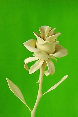 포토 JPG 해외이미지 디자인 꽃 백그라운드 꽃무늬 주택 미술 동양인 사람없음 목재 장식 초록색 장미 우아함 묘사 질감 솜씨 수목 핸드메이드 해외포토 나무 식물 컬러 컨셉 무늬 재료 문화예술 인종 건물 파일형식 이미지허브