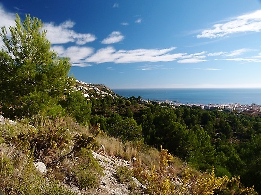 포토 JPG 해외이미지 나무 유럽 바다 여행 하늘 날씨 휴가 사람없음 초록색 물 파란색 평화 항구 맑음 스페인 고급 지중해 빌라 해안도시 장면 타운 멀리 스페인어 해외포토 자연요소 식물 나라 컬러 컨셉 교통시설 주택 도시 파일형식 이미지허브